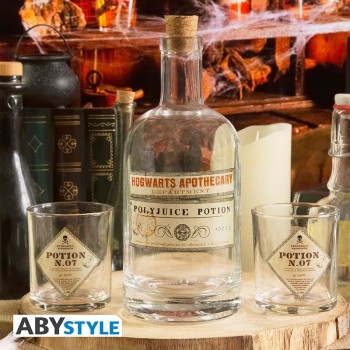 Harry Potter Bottle and glasses Set - Potion Replica