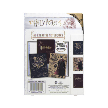 Harry Potter Notebook – A6 Exercise- Hogwarts Wizard Dynasty
