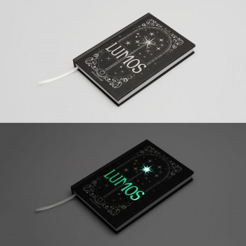Harry Potter Lumos A5 premium led Notebook + Στυλό Σετ