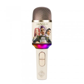 Kpop Demon Hunter Golden Karaoke Speaker LED