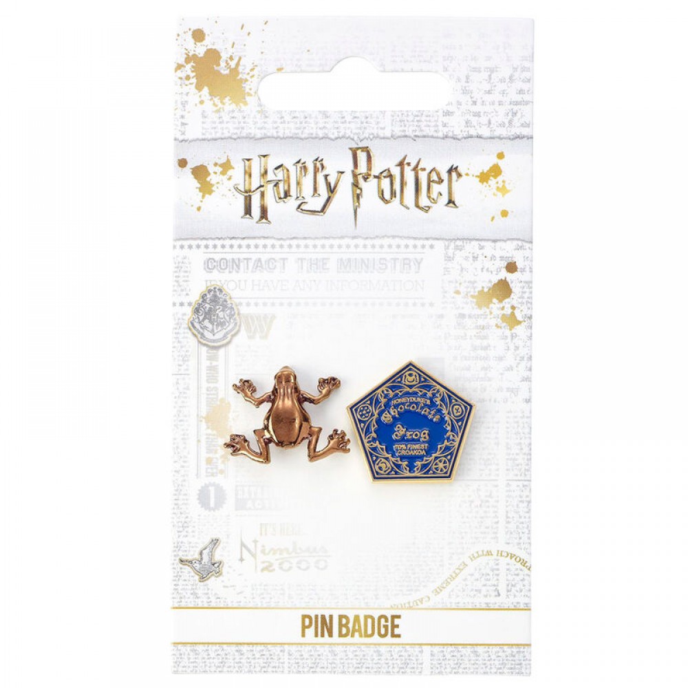 Harry Potter Chocolate Frog pin badge