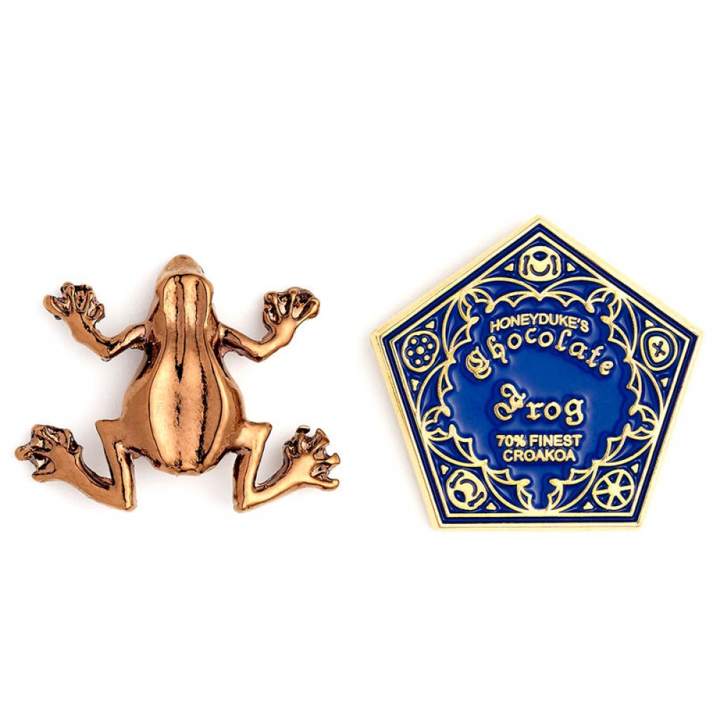 Harry Potter Chocolate Frog pin badge