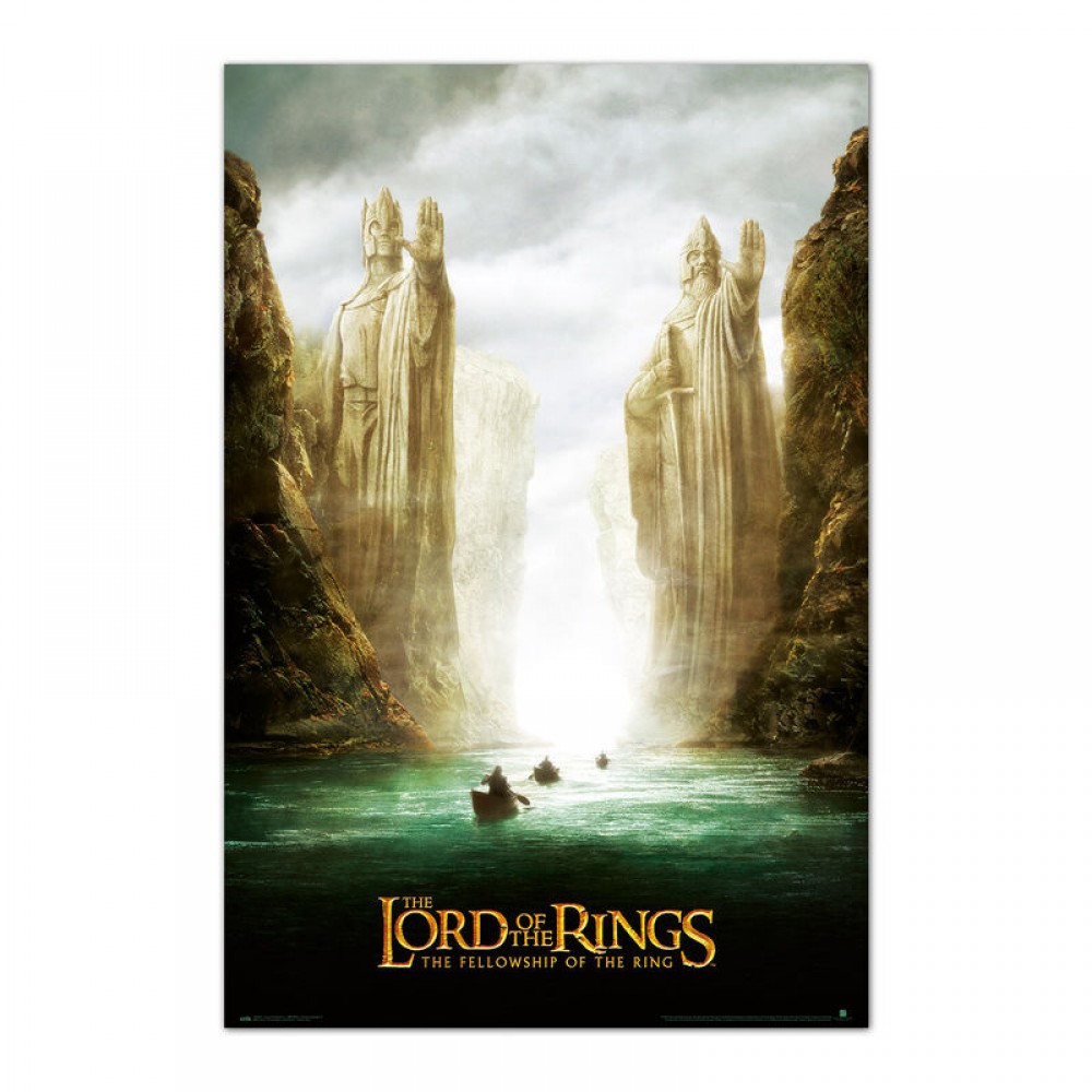 The Lord of the Rings The Fellowship of the Ring poster 91.5x61cm
