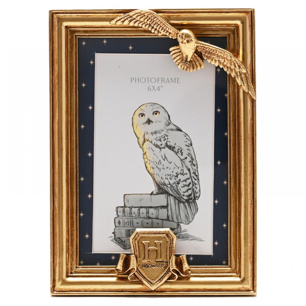 Harry Potter Hedwig Κορνίζα σε Χρυσό