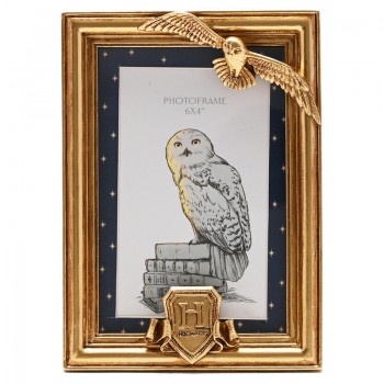 Harry Potter Hedwig Κορνίζα σε Χρυσό