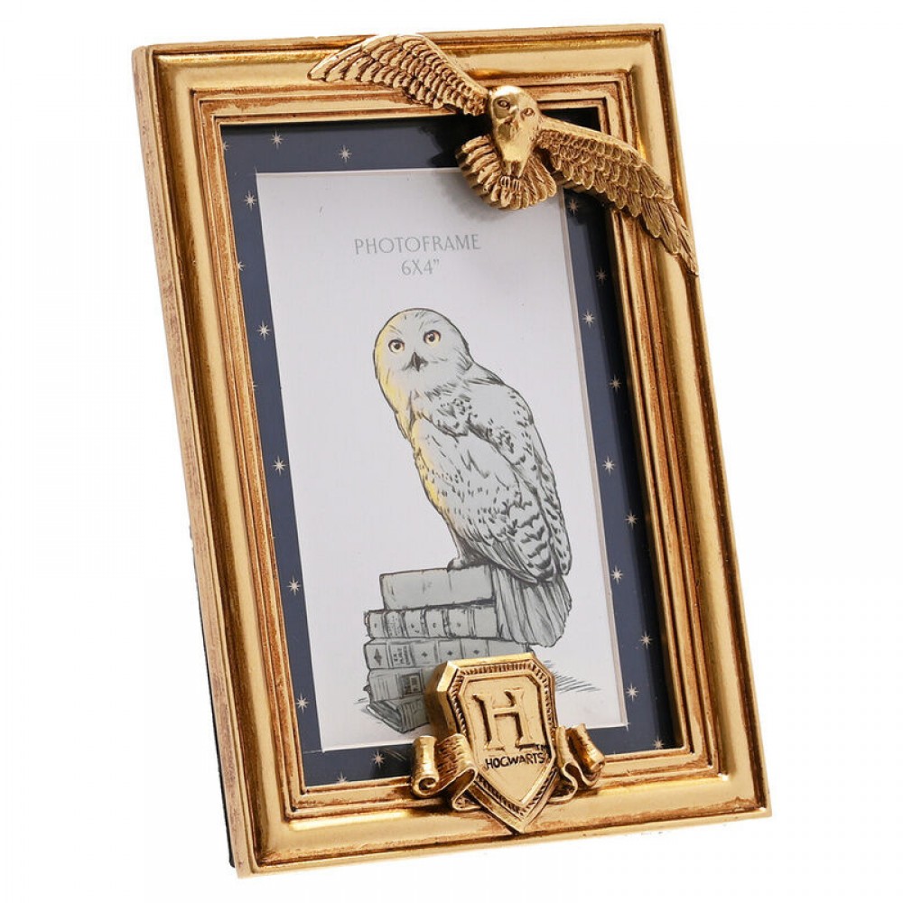 Harry Potter Hedwig Κορνίζα σε Χρυσό