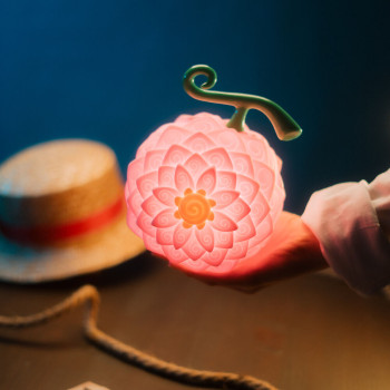 One Piece Flower-Flower Fruit Φωτιστικό