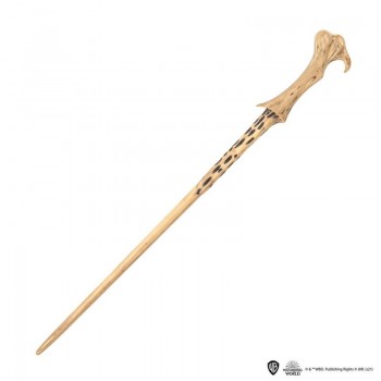 Pen Wand Voldemort