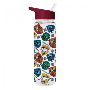 Παγούρι Harry Potter 700 ml