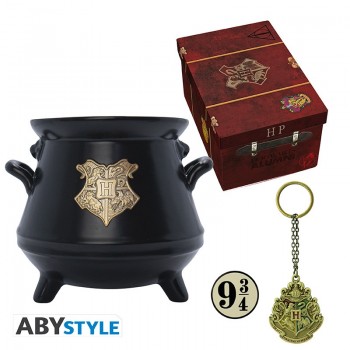 HARRY POTTER - Pck premium 3D mug+3D Keychain+Pin Hogwarts' 