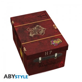 HARRY POTTER - Pck premium 3D mug+3D Keychain+Pin Hogwarts' suitcase 