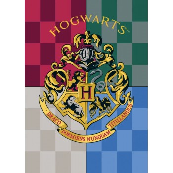 Harry Potter Hogwarts κουβέρτα 100x140cm