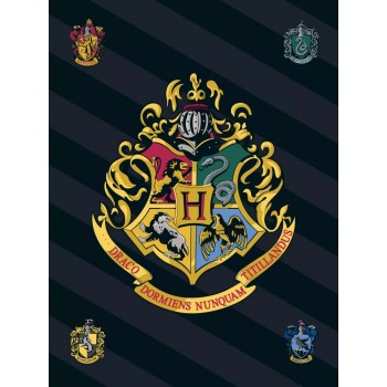 Harry Potter Hogwarts Black κουβέρτα 100x140cm