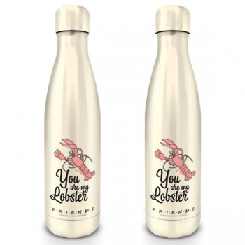 Friends – You are my Lobster Metal Drinks Bottle